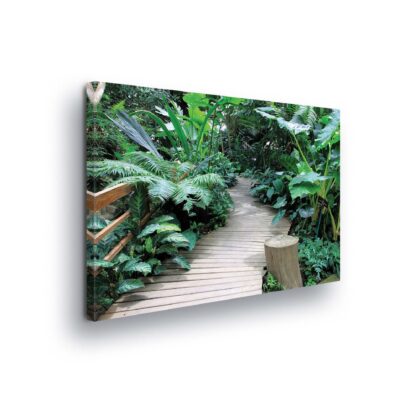 Tropical (11356CV)