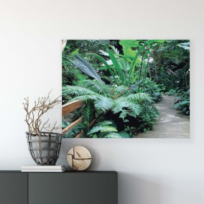 Tropical (11356CV) - Image 7