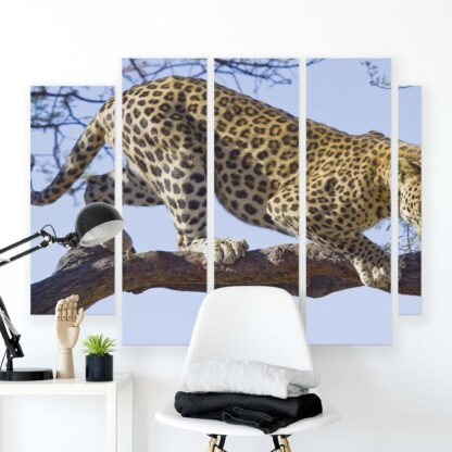 Animals and Living (1136CV) - Image 2
