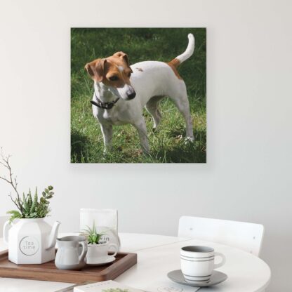 Animals and Living (11371CV) - Image 3