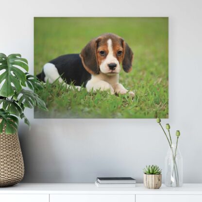 Animals and Living (11374CV) - Image 6