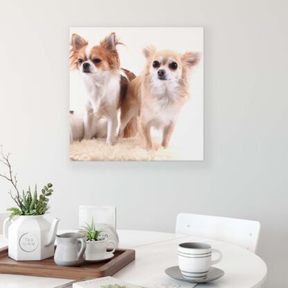 Animals and Living (11377CV) - Image 3