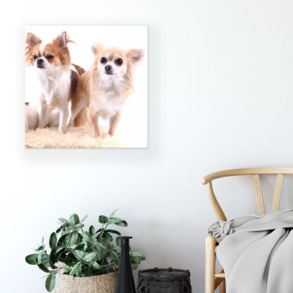 Animals and Living (11377CV) - Image 5