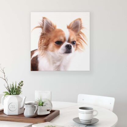 Animals and Living (11378CV) - Image 3