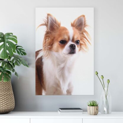 Animals and Living (11378CV) - Image 4