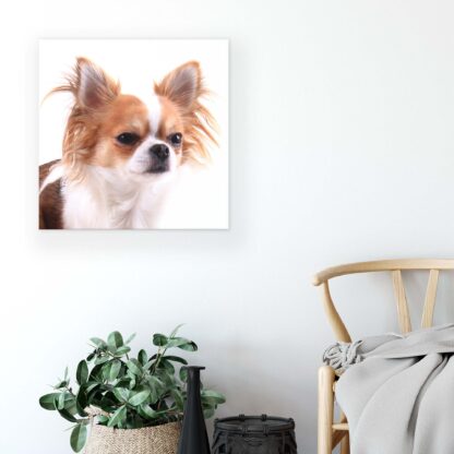 Animals and Living (11378CV) - Image 5