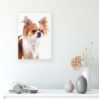 Animals and Living (11378CV) - Image 7