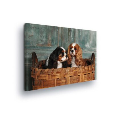 Animals and Living (11379CV)