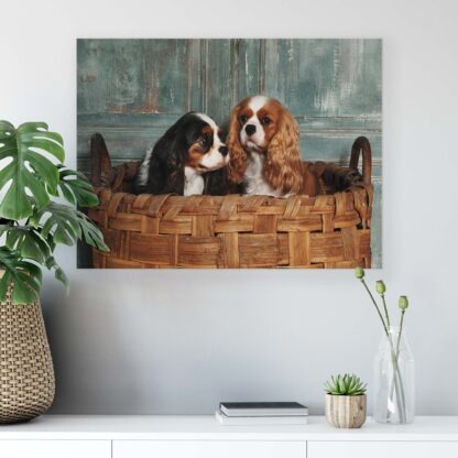 Animals and Living (11379CV) - Image 6