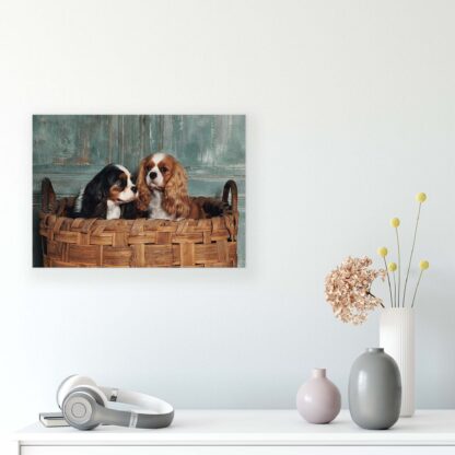 Animals and Living (11379CV) - Image 8