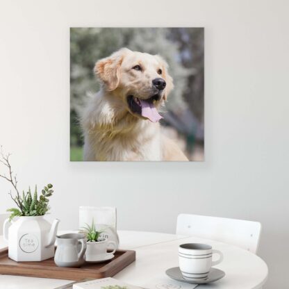 Animals and Living (11382CV) - Image 3