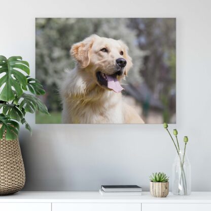 Animals and Living (11382CV) - Image 6