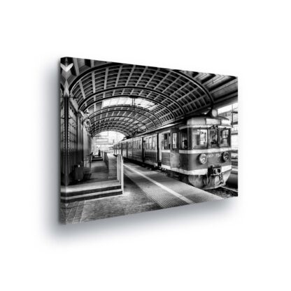 Cars and Transport (11383CV)