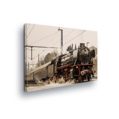 Cars and Transport (11388CV)