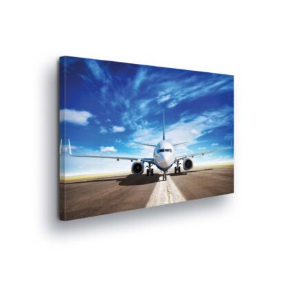 Cars and Transport (11390CV)