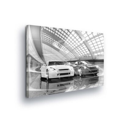 Cars and Transport (11394CV)