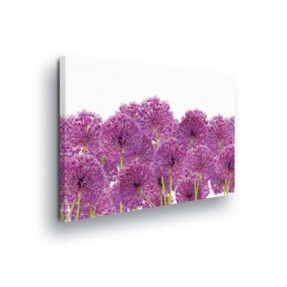 Flowers (11398CV)