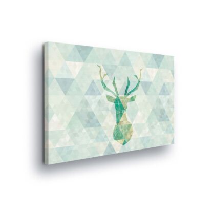 Animals and Living (11400CV)