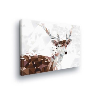 Animals and Living (11404CV)