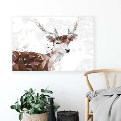 Animals and Living (11404CV) - Image 4