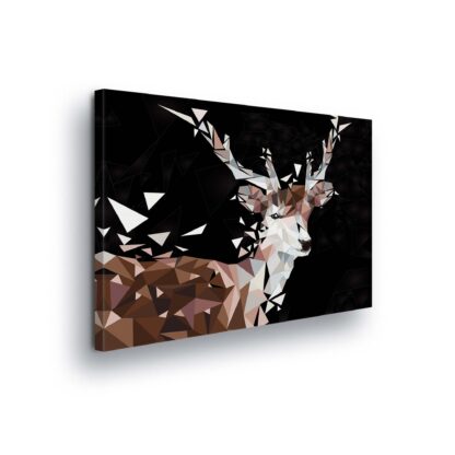 Animals and Living (11405CV)