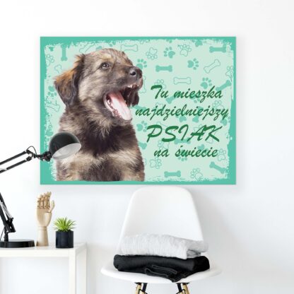 Animals and Living (11430CV) - Image 2