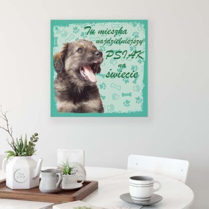 Animals and Living (11430CV) - Image 3
