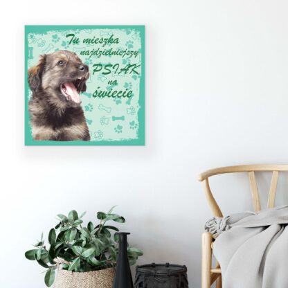 Animals and Living (11430CV) - Image 5