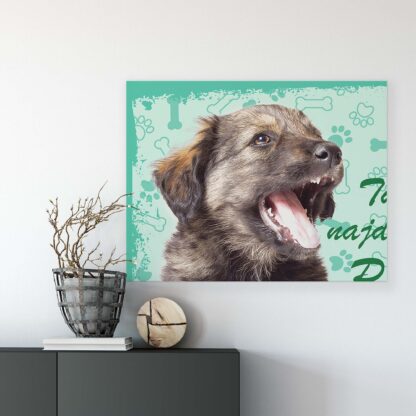 Animals and Living (11430CV) - Image 7
