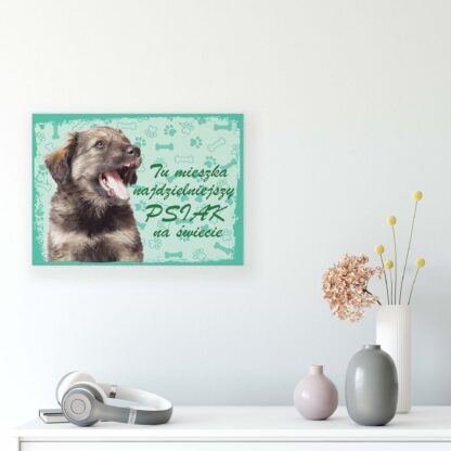 Animals and Living (11430CV) - Image 8