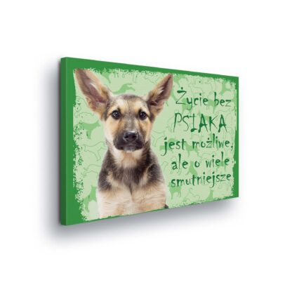 Animals and Living (11431CV)