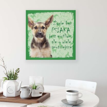 Animals and Living (11431CV) - Image 3