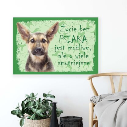 Animals and Living (11431CV) - Image 4