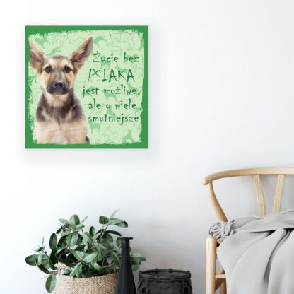 Animals and Living (11431CV) - Image 5