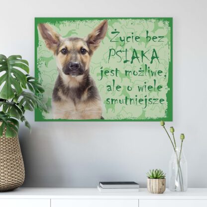 Animals and Living (11431CV) - Image 6