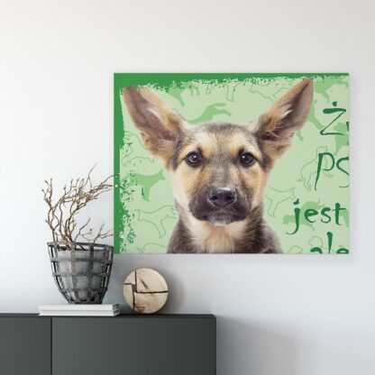Animals and Living (11431CV) - Image 7
