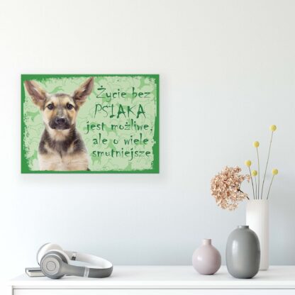 Animals and Living (11431CV) - Image 8