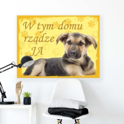 Animals and Living (11432CV) - Image 2