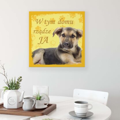 Animals and Living (11432CV) - Image 3