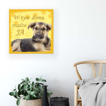 Animals and Living (11432CV) - Image 5
