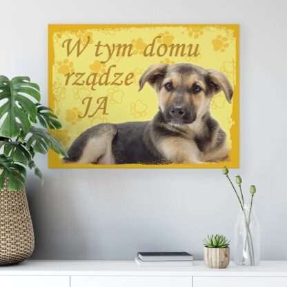 Animals and Living (11432CV) - Image 6
