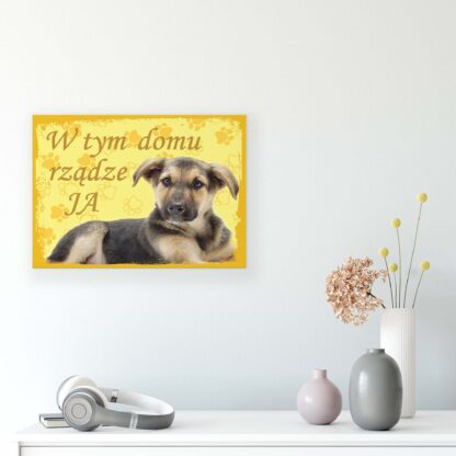 Animals and Living (11432CV) - Image 8