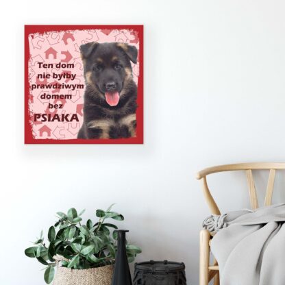 Animals and Living (11434CV) - Image 5