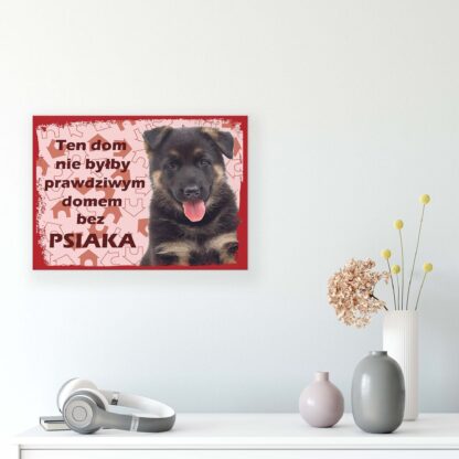 Animals and Living (11434CV) - Image 8
