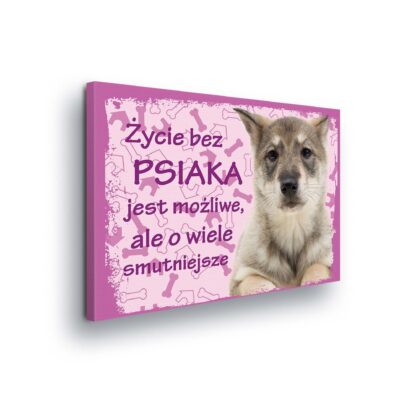 Animals and Living (11435CV)