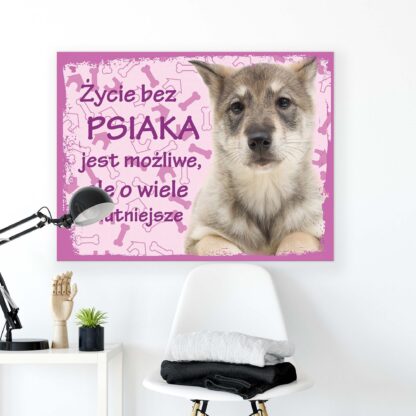 Animals and Living (11435CV) - Image 2