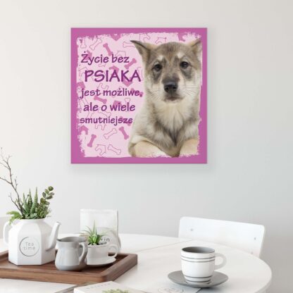 Animals and Living (11435CV) - Image 3