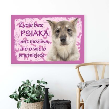 Animals and Living (11435CV) - Image 4