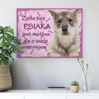 Animals and Living (11435CV) - Image 6