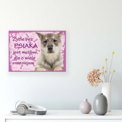 Animals and Living (11435CV) - Image 8